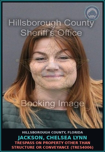CCW arrest card for JACKSON, CHELSEA LYNN in Hillsborough County: LOITERING OR PROWLING (MISC0019)