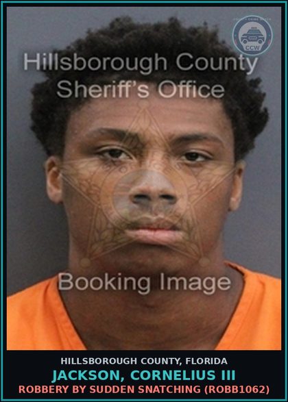CCW arrest card for JACKSON, CORNELIUS III in Hillsborough County: ROBBERY BY SUDDEN SNATCHING (ROBB1062)