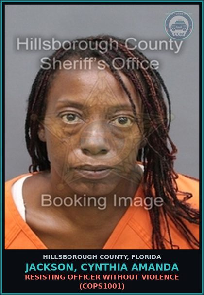 CCW arrest card for JACKSON, CYNTHIA AMANDA in Hillsborough County: FALSE NAME TO LAW ENFORCEMENT OFFICER (COPS2060)