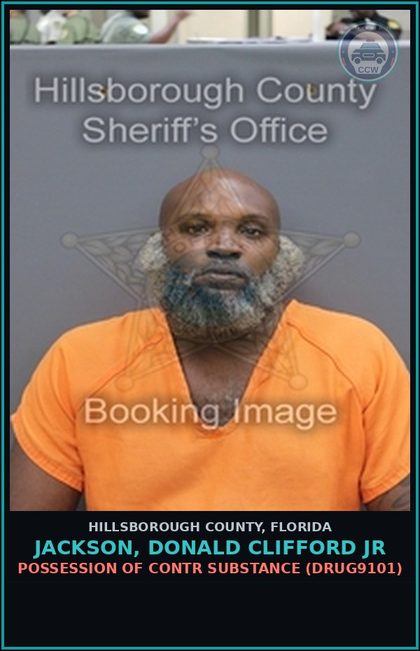 CCW arrest card for JACKSON, DONALD CLIFFORD JR in Hillsborough County: POSSESSION OF contr substance (DRUG9101)