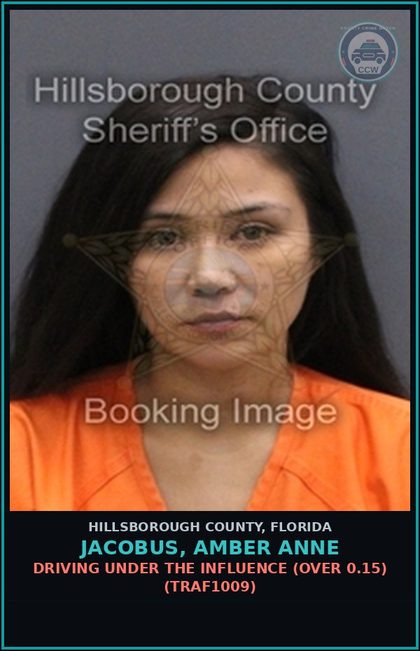 CCW arrest card for JACOBUS, AMBER ANNE in Hillsborough County: DRIVING UNDER THE INFLUENCE (OVER 0.15) (TRAF1009)