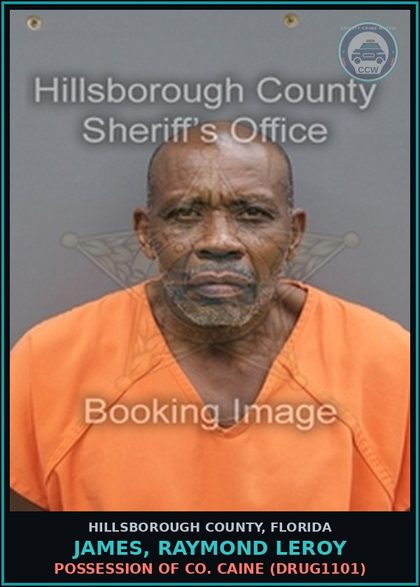 CCW arrest card for JAMES, RAYMOND LEROY in Hillsborough County: DRIVING WHILE LICENSE CANCELED, SUSPENDED, OR REVOKED (SECOND OR SUBSEQUENT OFFENSE) (TRAF6069)
