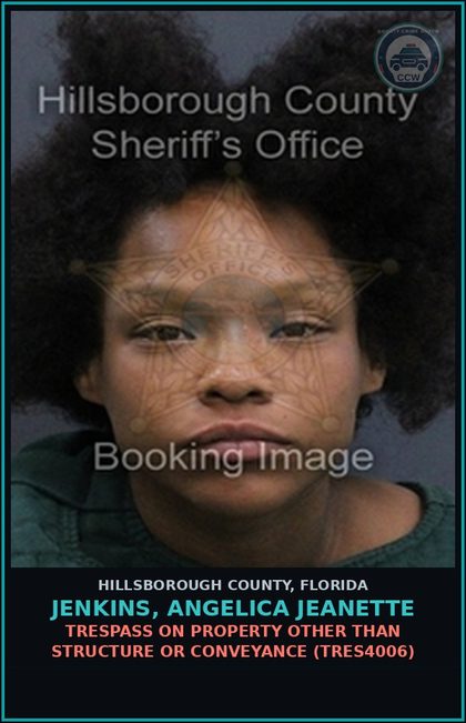 CCW arrest card for JENKINS, ANGELICA JEANETTE in Hillsborough County: TRESPASS ON PROPERTY OTHER THAN STRUCTURE OR CONVEYANCE (TRES4006)