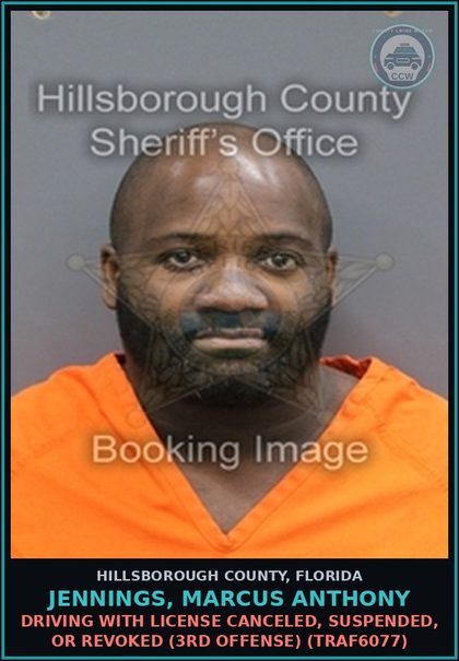 CCW arrest card for JENNINGS, MARCUS ANTHONY in Hillsborough County: DRIVING WITH LICENSE CANCELED, SUSPENDED, OR REVOKED (3RD OFFENSE) (TRAF6077)