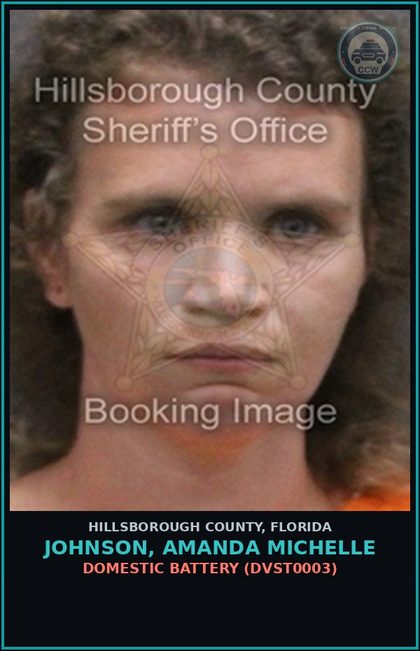 CCW arrest card for JOHNSON, AMANDA MICHELLE in Hillsborough County: DOMESTIC BATTERY (DVST0003)
