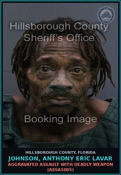 CCW arrest card for JOHNSON, ANTHONY ERIC LAVAR in Hillsborough County: AGGRAVATED ASSAULT WITH DEADLY WEAPON (ASSA5005)