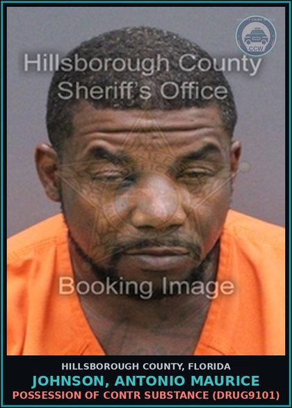 CCW arrest card for JOHNSON, ANTONIO MAURICE in Hillsborough County: POSSESSION OF contr substance (DRUG9101)