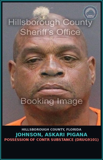CCW arrest card for JOHNSON, ASKARI PIGANA in Hillsborough County: POSSESSION OF contr substance (DRUG9101)