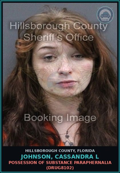 CCW arrest card for JOHNSON, CASSANDRA L in Hillsborough County: POSSESSION OF DRUG PARAPHERNALIA (DRUG8102)