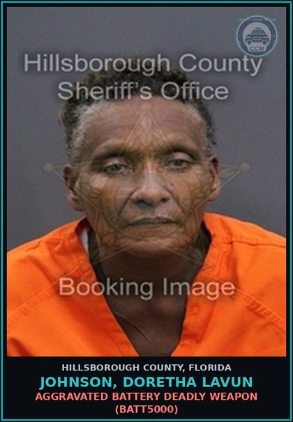CCW arrest card for JOHNSON, DORETHA LAVUN in Hillsborough County: OUT OF COUNTY WARRANT (ADMIN021) FTA COMPETENCY STATUS HRG/ BATTERY TOUCH OR STRIKE