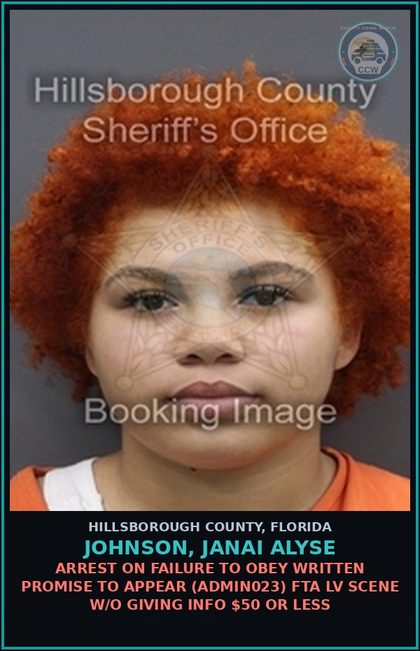 CCW arrest card for JOHNSON, JANAI ALYSE in Hillsborough County: ARREST ON FAILURE TO OBEY WRITTEN PROMISE TO APPEAR (ADMIN023) FTA LV SCENE W/O GIVING INFO $50 OR LESS