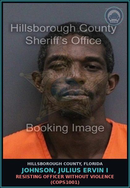 CCW arrest card for JOHNSON, JULIUS ERVIN I in Hillsborough County: RESISTING OFFICER WITHOUT VIOLENCE (COPS1001)