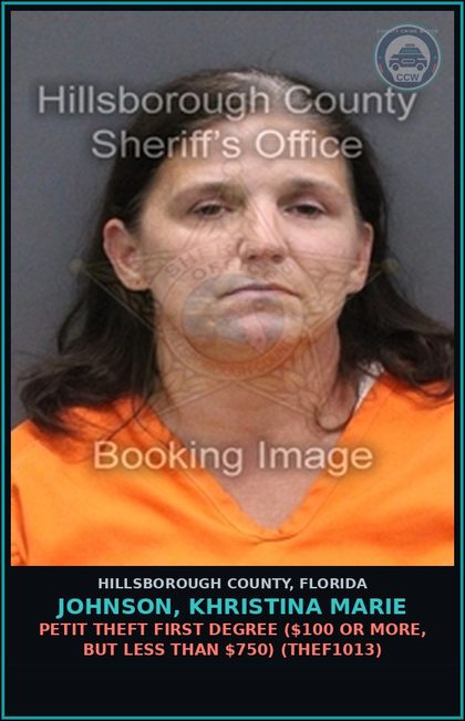 CCW arrest card for JOHNSON, KHRISTINA MARIE in Hillsborough County: PETIT THEFT FIRST DEGREE ($100 OR MORE, BUT LESS THAN $750) (THEF1013)