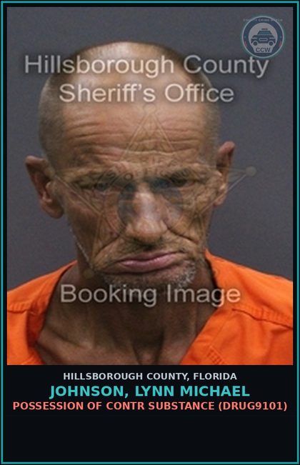 CCW arrest card for JOHNSON, LYNN MICHAEL in Hillsborough County: POSSESSION OF contr substance (DRUG9101)