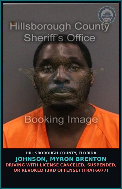 CCW arrest card for JOHNSON, MYRON BRENTON in Hillsborough County: DRIVING WITH LICENSE CANCELED, SUSPENDED, OR REVOKED (3RD OFFENSE) (TRAF6077)