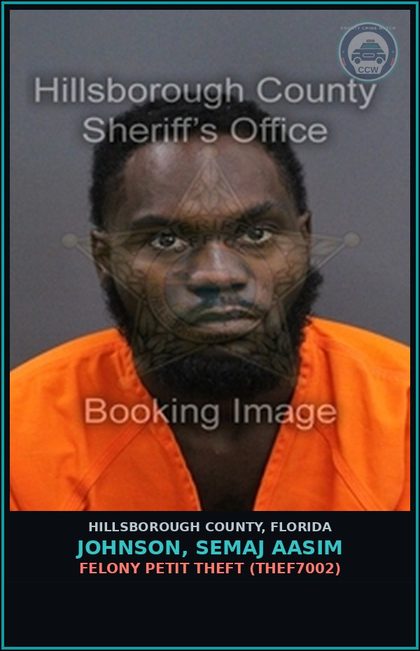 CCW arrest card for JOHNSON, SEMAJ AASIM in Hillsborough County: FELONY PETIT THEFT (THEF7002)