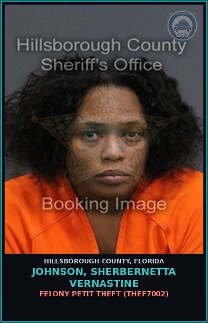 CCW arrest card for JOHNSON, SHERBERNETTA VERNASTINE in Hillsborough County: RESISTING ARREST OR DETENTION IN RETAIL THEFT (THEF1050)