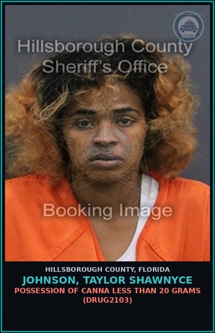 CCW arrest card for JOHNSON, TAYLOR SHAWNYCE in Hillsborough County: POSSESSION OF Canna LESS THAN 20 GRAMS (DRUG2103)