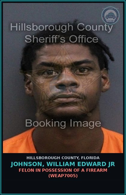 CCW arrest card for JOHNSON, WILLIAM EDWARD JR in Hillsborough County: ARMED POSSESSION OF contr substance (DRUG9105)