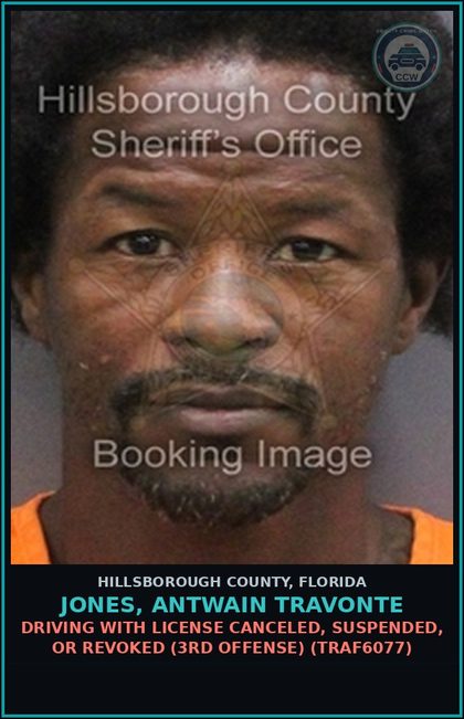 CCW arrest card for JONES, ANTWAIN TRAVONTE in Hillsborough County: DRIVING WITH LICENSE CANCELED, SUSPENDED, OR REVOKED (3RD OFFENSE) (TRAF6077)