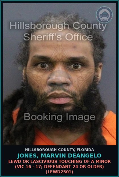 CCW arrest card for JONES, MARVIN DEANGELO in Hillsborough County: LEWD OR LASCIVIOUS TOUCHING OF A MINOR (VICTIM 16 - 17; DEFENDANT 24 OR OLDER) (LEWD2501)