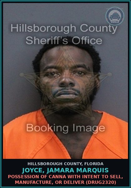 CCW arrest card for JOYCE, JAMARA MARQUIS in Hillsborough County: POSSESSION OF Canna WITH INTENT TO SELL, MANUFACTURE, OR DELIVER (DRUG2320)