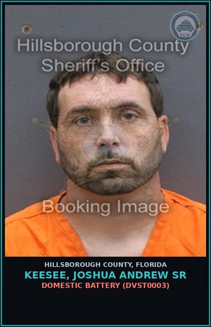 CCW arrest card for KEESEE, JOSHUA ANDREW SR in Hillsborough County: DOMESTIC BATTERY (DVST0003)