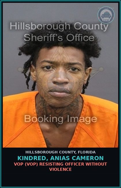 CCW arrest card for KINDRED, ANIAS CAMERON in Hillsborough County: VOP (VOP) RESISTING OFFICER WITHOUT VIOLENCE