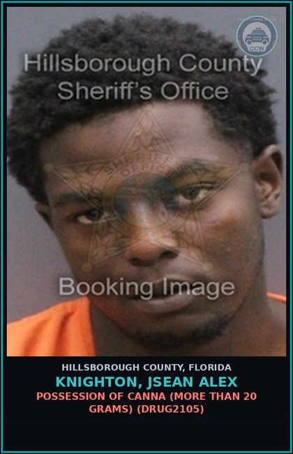 CCW arrest card for KNIGHTON, JSEAN ALEX in Hillsborough County: POSSESSION OF Canna (MORE THAN 20 GRAMS) (DRUG2105)