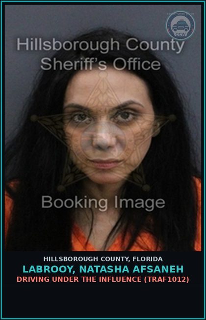CCW arrest card for LABROOY, NATASHA AFSANEH in Hillsborough County: DRIVING UNDER THE INFLUENCE (TRAF1012)