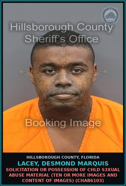 CCW arrest card for LACEY, DESMOND MARQUIS in Hillsborough County: SOLICITATION OR POSSESSION OF chld s3xual ABUSE MATERIAL (TEN OR MORE IMAGES AND CONTENT OF IMAGES) (CHAB6103)