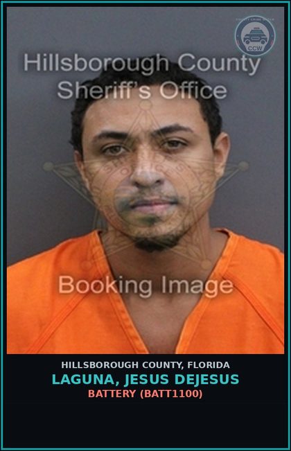 CCW arrest card for LAGUNA, JESUS DEJESUS in Hillsborough County: BATTERY (BATT1100)