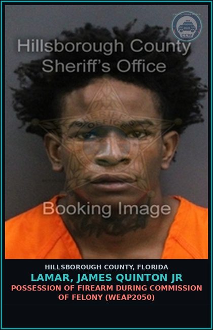 CCW arrest card for LAMAR, JAMES QUINTON JR in Hillsborough County: POSSESSION OF FIREARM DURING COMMISSION OF FELONY (WEAP2050)