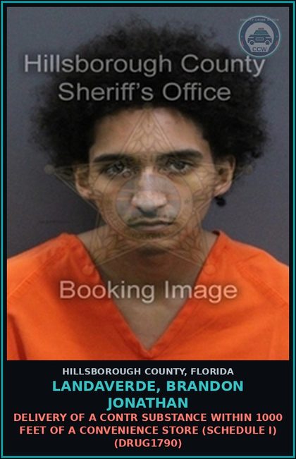 CCW arrest card for LANDAVERDE, BRANDON JONATHAN in Hillsborough County: DELIVERY OF A contr substance WITHIN 1000 FEET OF A CONVENIENCE STORE (SCHEDULE I) (DRUG1790)