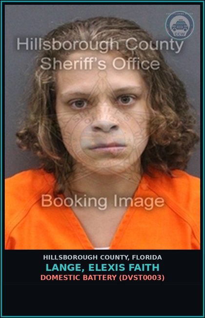 CCW arrest card for LANGE, ELEXIS FAITH in Hillsborough County: DOMESTIC BATTERY (DVST0003)