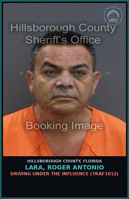 CCW arrest card for LARA, ROGER ANTONIO in Hillsborough County: DRIVING UNDER THE INFLUENCE (TRAF1012)