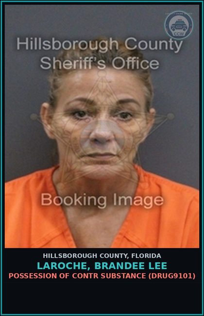 CCW arrest card for LAROCHE, BRANDEE LEE in Hillsborough County: POSSESSION OF contr substance (DRUG9101)