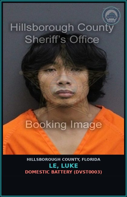CCW arrest card for LE, LUKE in Hillsborough County: DOMESTIC BATTERY (DVST0003)