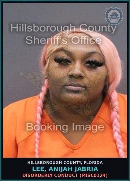 CCW arrest card for LEE, ANIJAH JABRIA in Hillsborough County: CRIMINAL MISCHIEF (MORE THAN $200, LESS THAN $1,000) (CRMS2000)