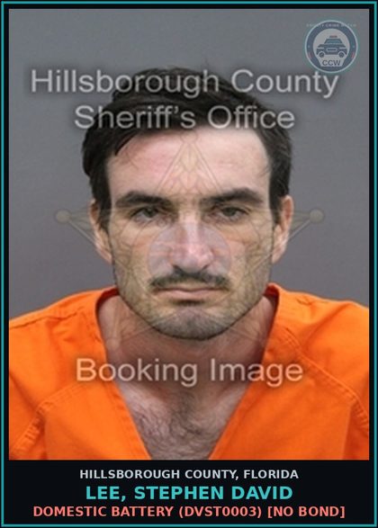 CCW arrest card for LEE, STEPHEN DAVID in Hillsborough County: GRAND THEFT MOTOR VEHICLE (THEF2201)