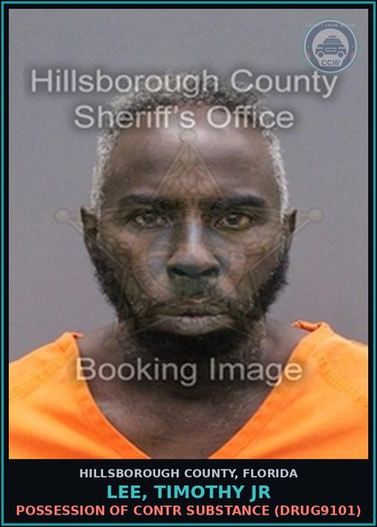 CCW arrest card for LEE, TIMOTHY JR in Hillsborough County: POSSESSION OF contr substance (DRUG9101)
