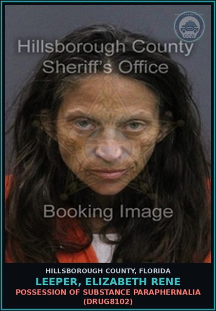CCW arrest card for LEEPER, ELIZABETH RENE in Hillsborough County: POSSESSION OF DRUG PARAPHERNALIA (DRUG8102)