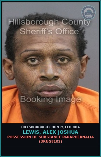 CCW arrest card for LEWIS, ALEX JOSHUA in Hillsborough County: TRESPASS IN OCCUPIED STRUCTURE OR CONVEYANCE (TRES2000)