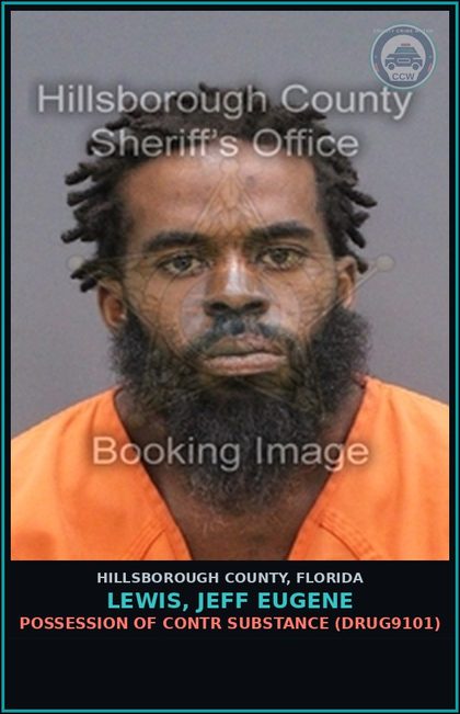 CCW arrest card for LEWIS, JEFF EUGENE in Hillsborough County: POSSESSION OF contr substance (DRUG9101)