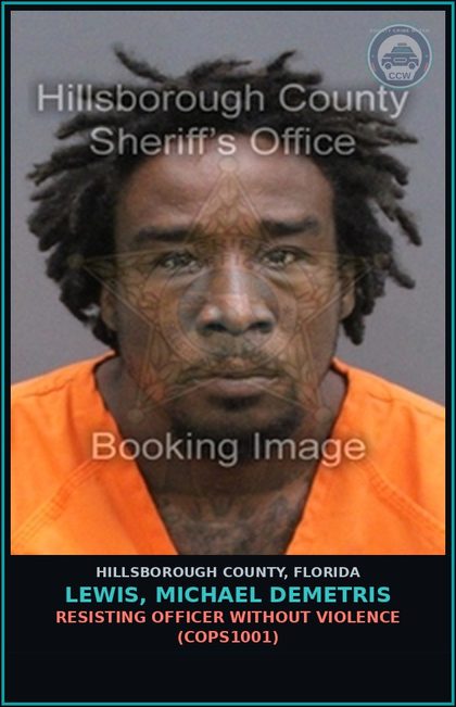 CCW arrest card for LEWIS, MICHAEL DEMETRIS in Hillsborough County: CRIMINAL MISCHIEF $1,000 OR MORE (CRMS3000)