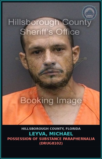 CCW arrest card for LEYVA, MICHAEL in Hillsborough County: POSSESSION OF DRUG PARAPHERNALIA (DRUG8102)