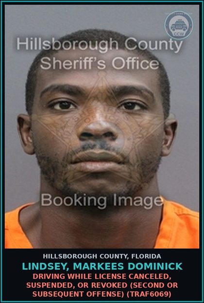 CCW arrest card for LINDSEY, MARKEES DOMINICK in Hillsborough County: DRIVING WHILE LICENSE CANCELED, SUSPENDED, OR REVOKED (SECOND OR SUBSEQUENT OFFENSE) (TRAF6069)