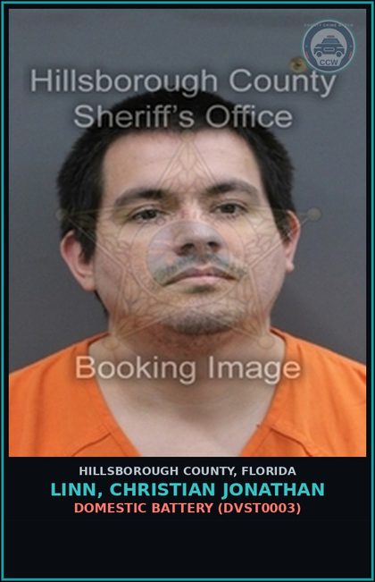 CCW arrest card for LINN, CHRISTIAN JONATHAN in Hillsborough County: DOMESTIC BATTERY (DVST0003)