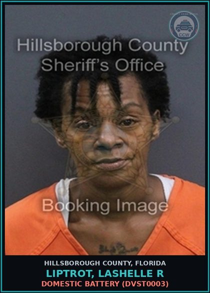 CCW arrest card for LIPTROT, LASHELLE R in Hillsborough County: POSSESSION OF Canna LESS THAN 20 GRAMS (DRUG2103)
