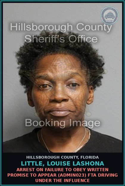 CCW arrest card for LITTLE, LOUISE LASHONA in Hillsborough County: ARREST ON FAILURE TO OBEY WRITTEN PROMISE TO APPEAR (ADMIN023) FTA DRIVING UNDER THE INFLUENCE